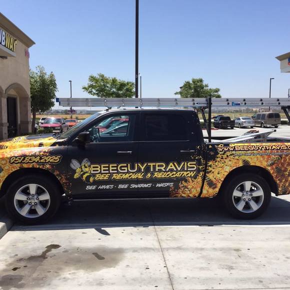 beeguytravis